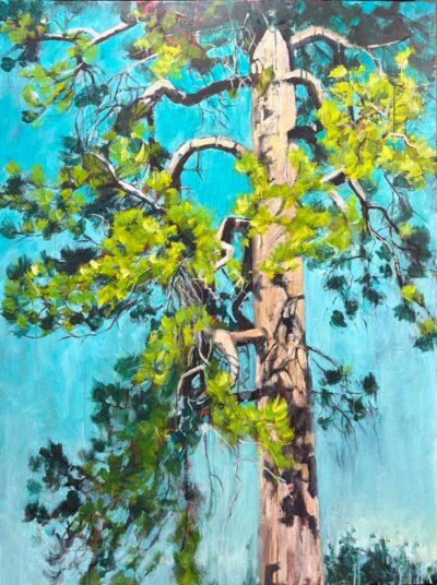 "Forests and Meadows Acrylic Painting Basics" June 2, 9, 16 / 10 am -2 pm