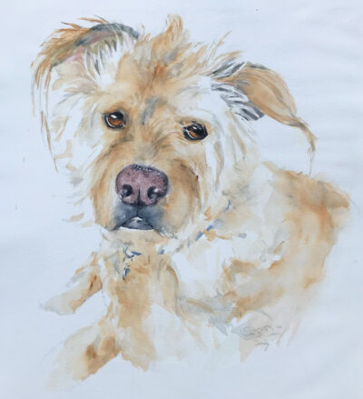 "Painting Your Pet in Watercolors" Dec 1st & 8th / 10am - 2pm - Image 4