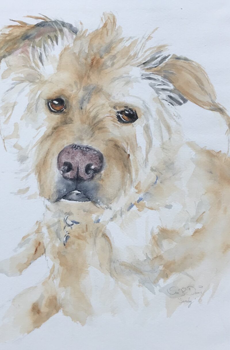 "Painting Your Pet in Watercolors" Dec 1st & 8th / 10am - 2pm