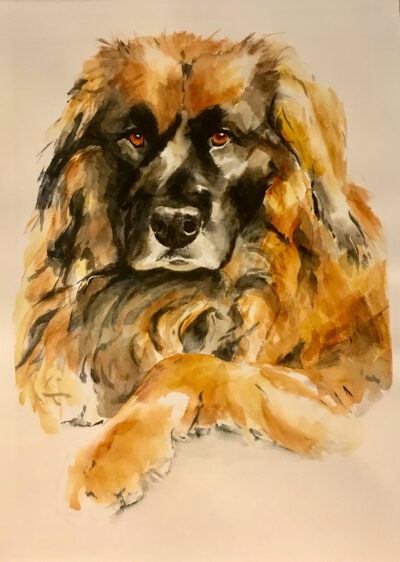 "Painting Your Pet in Watercolors" Dec 1st & 8th / 10am - 2pm