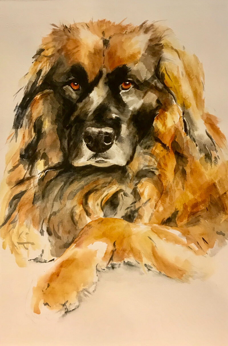 "Painting Your Pet in Watercolors" Dec 1st & 8th / 10am - 2pm