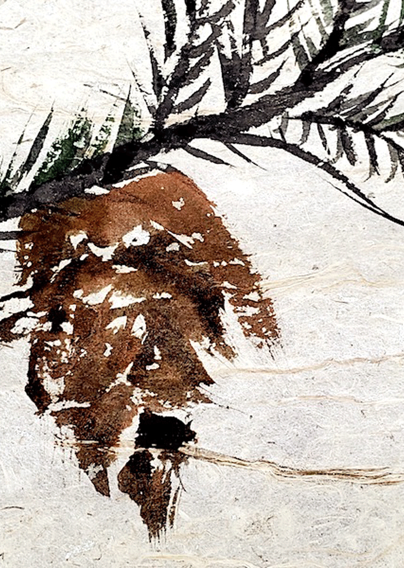 "Evergreens & Pinecones " Dec 15 / 10am - 2pm